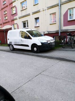 miszcze_parkowaniaauto9-20210620
