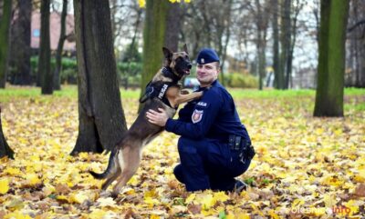 Mieszkanka dziękuje policjantowi za odnalezienie kosztownego aparatu słuchowego