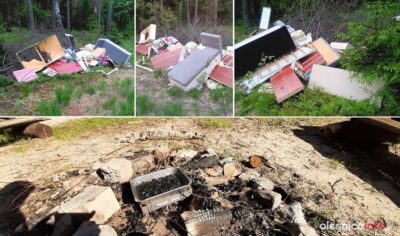 Co leśnicy znaleźli wśród porzuconych śmieci? Zepsutą żywność i…pracę licencjacką