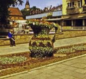 mural_olesnicazileniec-007