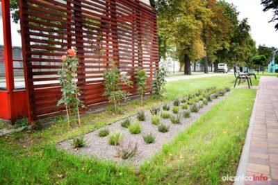 Kto zadba o zieleń? ZBK szuka firmy do współpracy