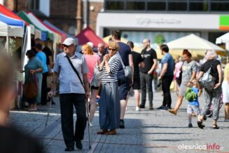 dni-europy-jarmark-wspanialosci-DSC_6373-20210911