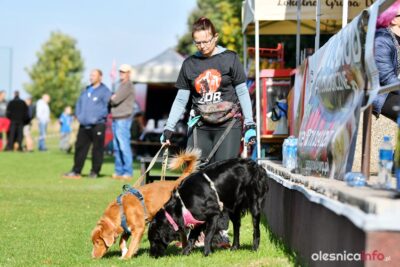 Trwa bieg terenowy w Sokołowicach [ZDJĘCIA]