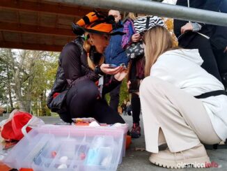 halloween-bieg-olesnica251088468_2023972471100593_7081285023834054057_n-20211030