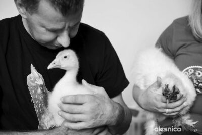 Zwierzęta były dla niego terapią. Nie żyje Jan Prostak z Sokołowic
