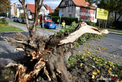 Ostrzeżenie przed silnymi wiatrami