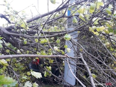 Alert pogodowy dla powiatu oleśnickiego! Nadciągają gwałtowne burze, wichury i ulewy