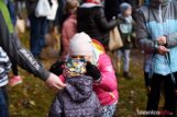 bierutowski-bieg-lesny-75X_7214-20211114