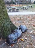 Kto podrzucił śmieci w oleśnickim parku?