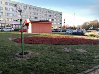 W Oleśnicy powstają parki kieszonkowe