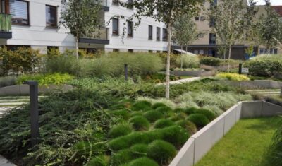 Dlaczego warto zdecydować się na dach zielony?