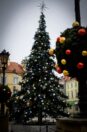 oleśnica-boże-narodzenie263177648_655002209187521_335733265093351429_n-005