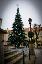oleśnica-boże-narodzenie263433620_489104582400770_6259695866421502168_n-009