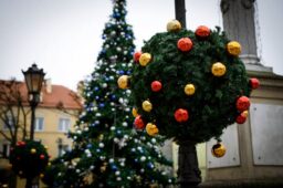 oleśnica-boże-narodzenie263534069_426757212507168_4235314793688628040_n-010