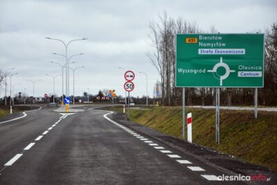 Wymiana uschniętych drzew przy oleśnickiej obwodnicy. Kto za to zapłaci?