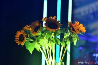 767-urodziny-olesnicy-25