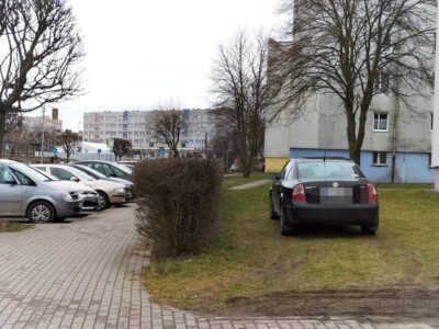 Miszczowie parkowania w powiecie oleśnickim [ZDJĘCIA]