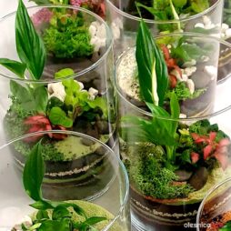 olesnica-dla-ukrainy-czas-kobiet-4