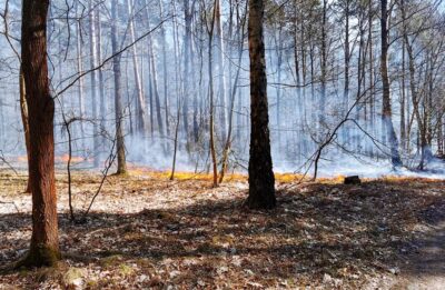 Płoną lasy! Bardzo duży wzrost pożarów w powiecie oleśnickim