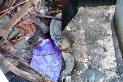 Inwazja szczurów przy ul. Rzemieślniczej. Lokatorzy skarżą się na brak pomocy [WIDEO]