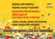 Polska 2050 zaprasza na wspólne wysiewanie kwietnej łąki