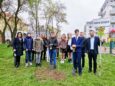 Obradowała Młodzieżowa Rada Gminy Oleśnica. Nagrody i Dąb Młodzieży