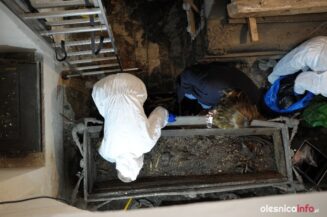 sylwiusz-nimrod-krypta-bazylika-18