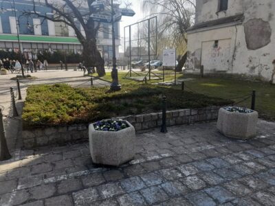 Wiosenne porządki i nasadzenia w Bierutowie