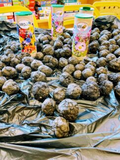 Warsztaty EKO_fundacja ProCuro (19)