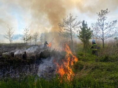 Palą się nieużytki pod Smolną. Na miejsce skierowano kilka zastępów straży