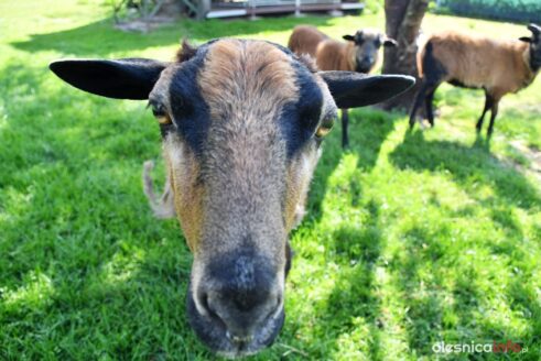 tomasz-grabinski-katna-10