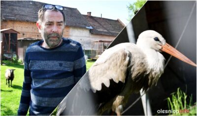 Pogotowie dla dzikich zwierząt, czyli weterynarz od zadań specjalnych