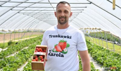 Manufaktura truskawki, czyli wyjątkowa plantacja pod Oleśnicą