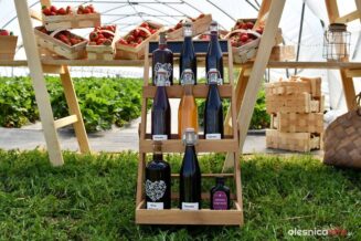 truskawki-od-karola-DSC_3877