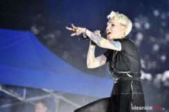 agnieszka-chylinska-dni-olesnicy-2022-043