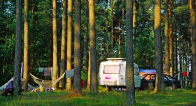 Czy można się wybrać do lasu na piknik?