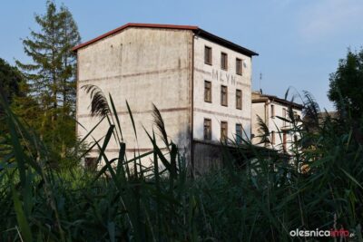 Klinika Słoika i Młyn w Dobrej zapraszają na mikołajki z lokalnymi produktami