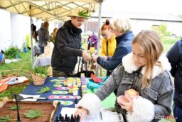 klinika-sloika-jenkowice001