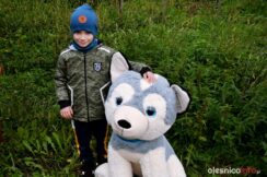 klinika-sloika-jenkowice009