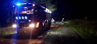 Strażacy usuwali powalone drzewo
