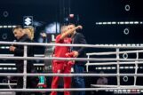 suzuki-boxing-night-gala-olesnica (182 of 30)