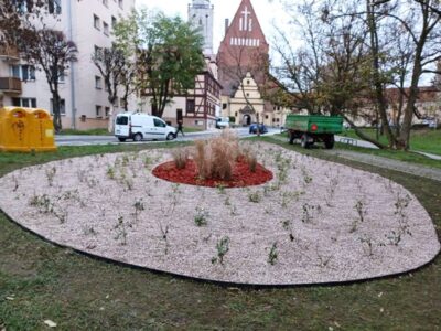 Trzy firmy chcą się zajmować oleśnicką zielenią