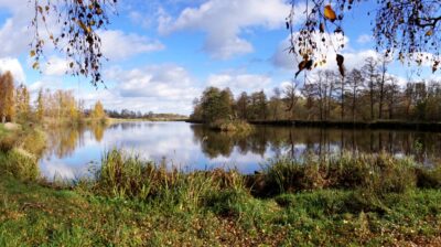 Oleśniczanie poparli, teraz radni zajmą się petycją w sprawie powiększenia Parku nad Stawami