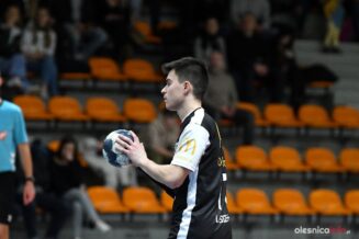 spr-olesnica-zagiew-dzierzoniow-DSC_7919