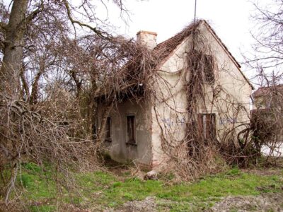 Ta część Oleśnicy się zmienia. Kiedyś pasły się tutaj kozy