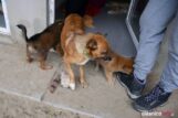 przytul-pyska-DSC_8636