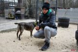 przytul-pyska-DSC_8653