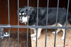 przytul-pyska-DSC_8697