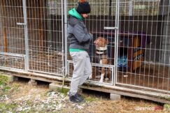 przytul-pyska-DSC_8704