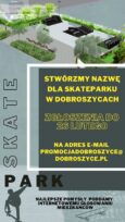W Dobroszycach powstaje skatepark. Jak go nazwać?